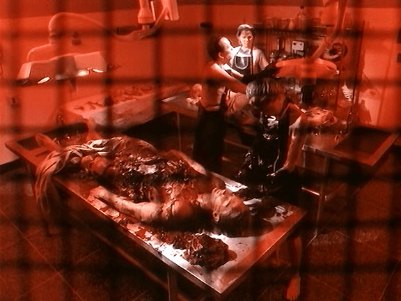 experimentos sangrientos