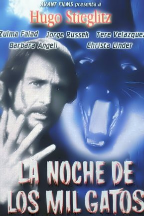 Noche Mil gatos
