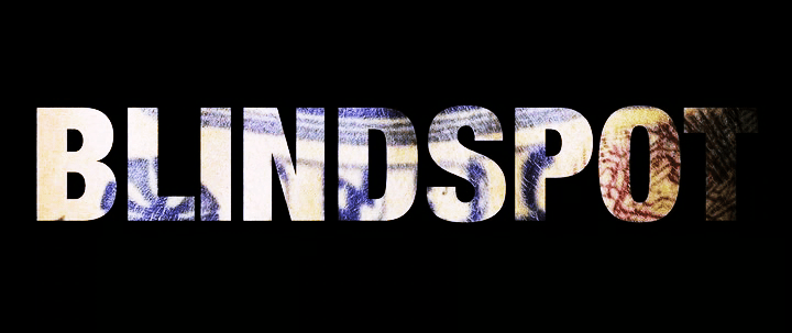 Blindspot Title