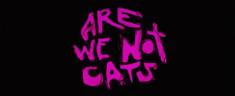 are-we-not-cats-title