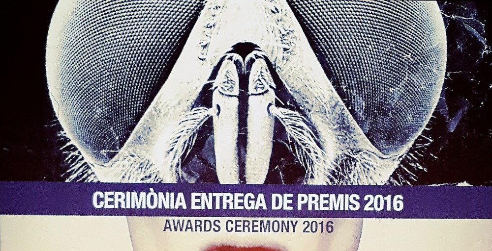 img_4f1a507ab2651e76b5495894e5e59e2c