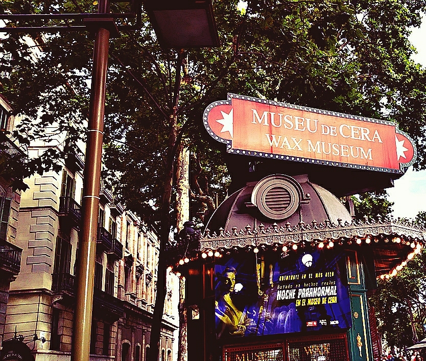 IMG_31816e4fed6e0be5566ae9b2c2d8abc8(1)(1)(1)